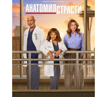 Анатомия страсти (22 сезон) ( 2025)