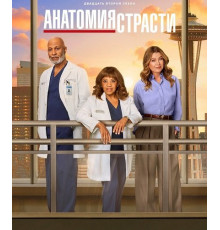 Анатомия страсти (22 сезон) ( 2025)