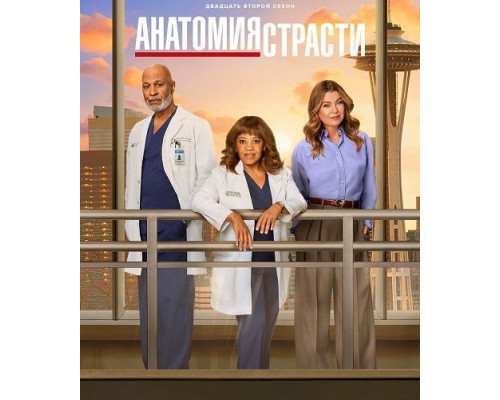 Фильм Анатомия страсти (22 сезон)  й