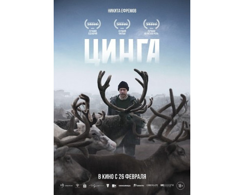 Фильм Цинга   й