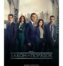 Закон и порядок (25 сезон) ( 2025)
