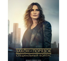 Закон и порядок. Специальный корпус (27 сезон) ( 2025)