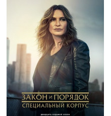Закон и порядок. Специальный корпус (27 сезон) ( 2025)